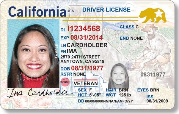 Californian_sample_drivers_license_c._2019