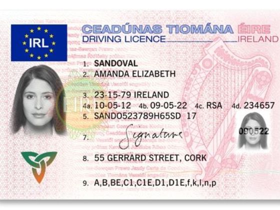 Irish-Drivers-License-1